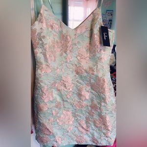 Lulus beautiful pink and mint jacquardi dress with tag